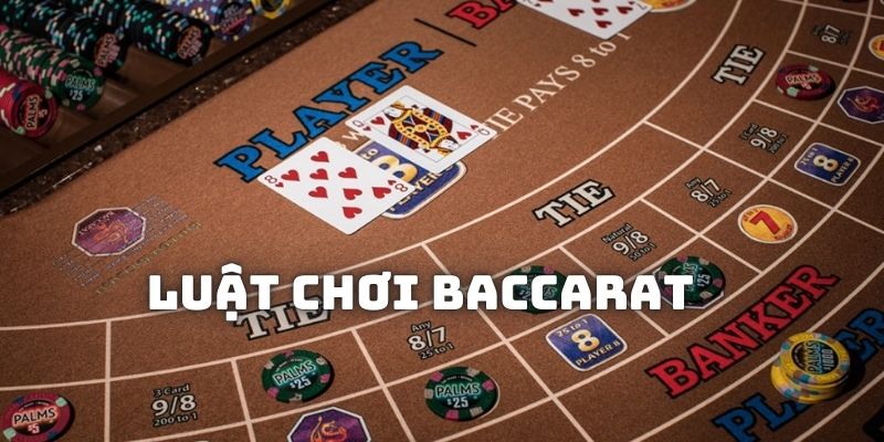 Tìm hiểu a - z về luật chơi, quy tắc rút bài và các thuật ngữ